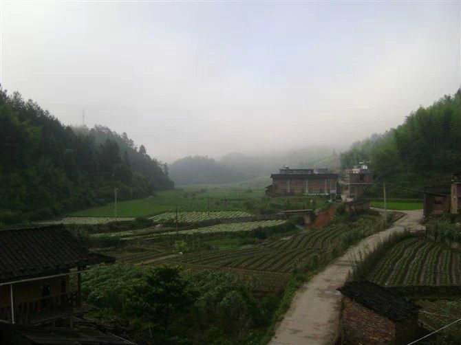 蘇康村 蘇康村