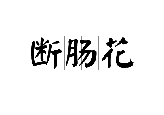 斷腸花(漢語詞語)