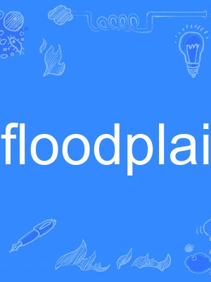 floodplain floodplain