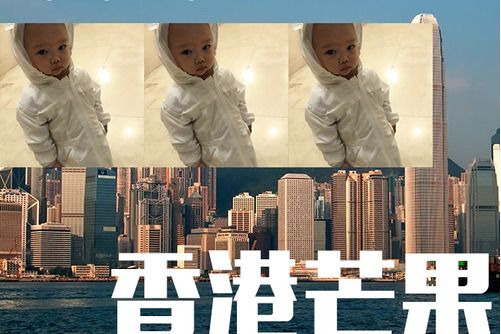 香港芒果M 香港芒果M