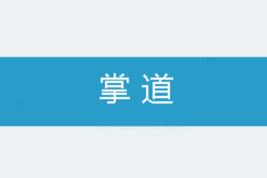 掌道(烏克麗麗創作的網路小說) 掌道(烏克麗麗創作的網路小說)
