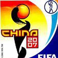 2007年中國女足世界盃