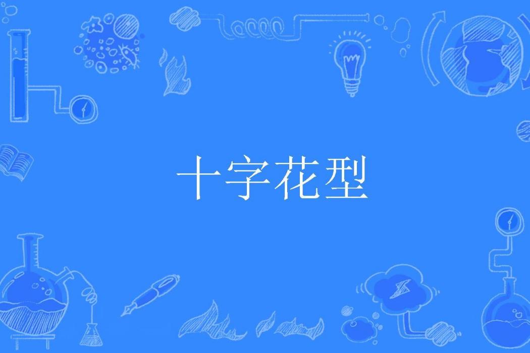 十字花型 十字花型
