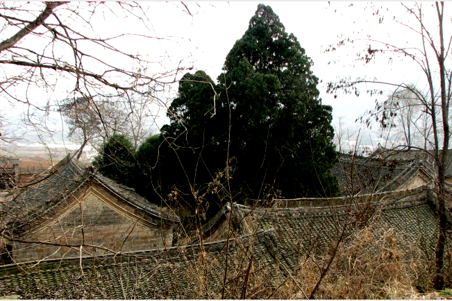 元建寺 元建寺