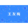 王友梅(網路辭彙) 王友梅(網路辭彙)