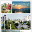 沛縣(江蘇沛縣)