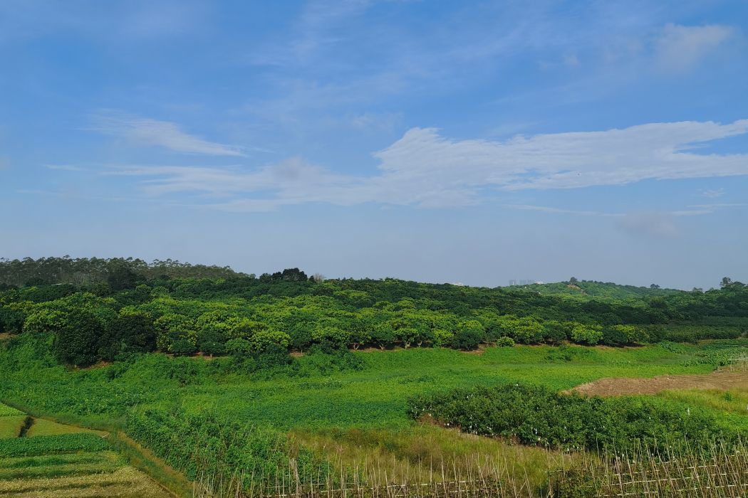 下那頂村 下那頂村