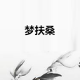 夢扶桑 夢扶桑