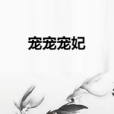 寵寵寵妃 寵寵寵妃