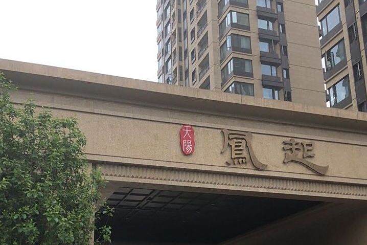 天陽鳳起 天陽鳳起