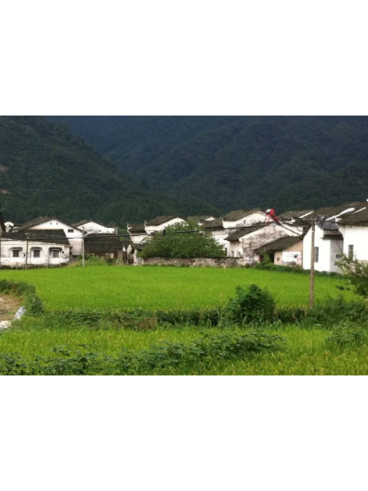 星聯村(安徽省祁門縣安凌鎮星聯村) 星聯村(安徽省祁門縣安凌鎮星聯村)