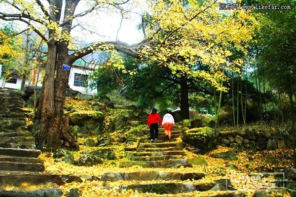 永里村 永里村