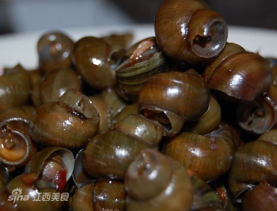 尹氏螺螄