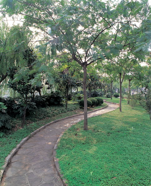 姜畲鎮園林綠化