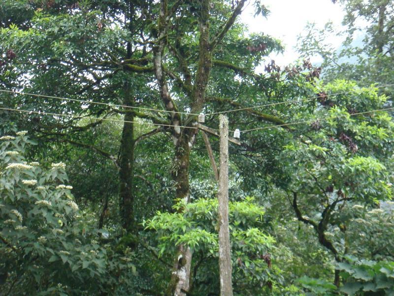 小八寨自然村 小八寨自然村