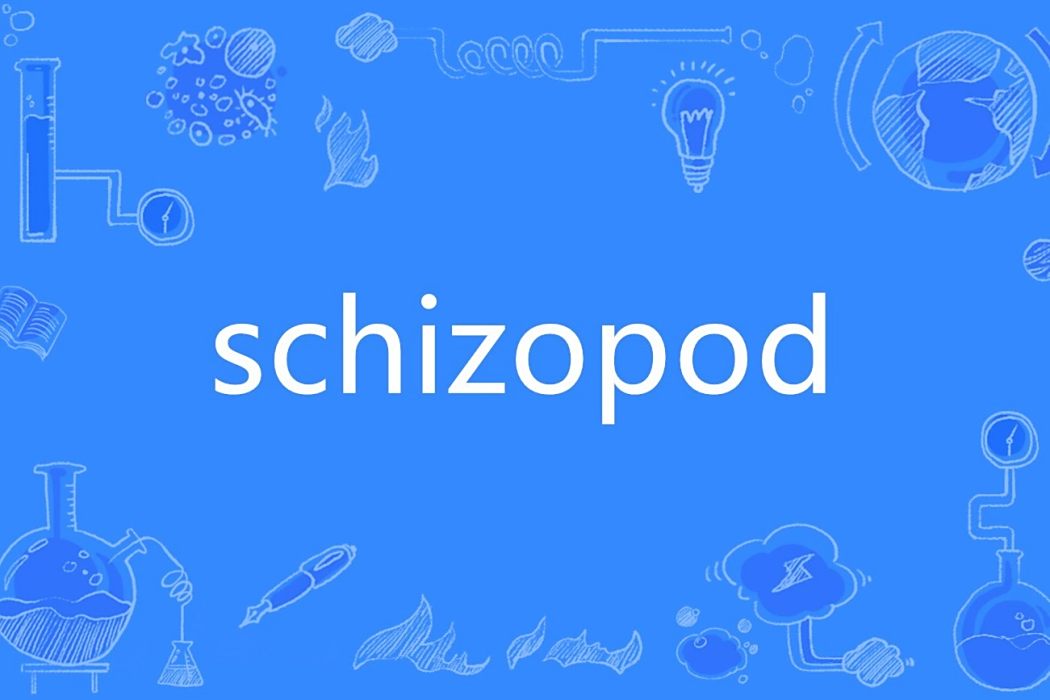 schizopod schizopod