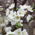 孤獨日記 孤獨日記