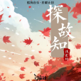 探故知 探故知