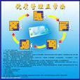 五常法 五常法