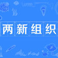 兩新組織