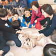 弱智學校