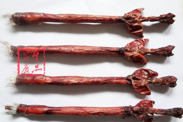 鮮磨鹿沖 鮮磨鹿沖