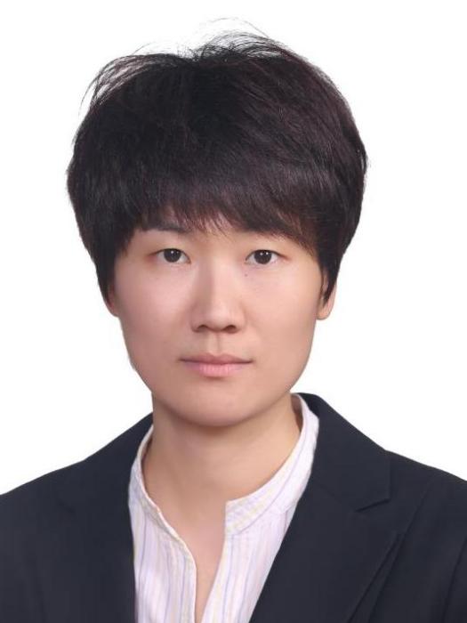 李晶(北京市西城區發展和改革委員會副主任) 李晶(北京市西城區發展和改革委員會副主任)