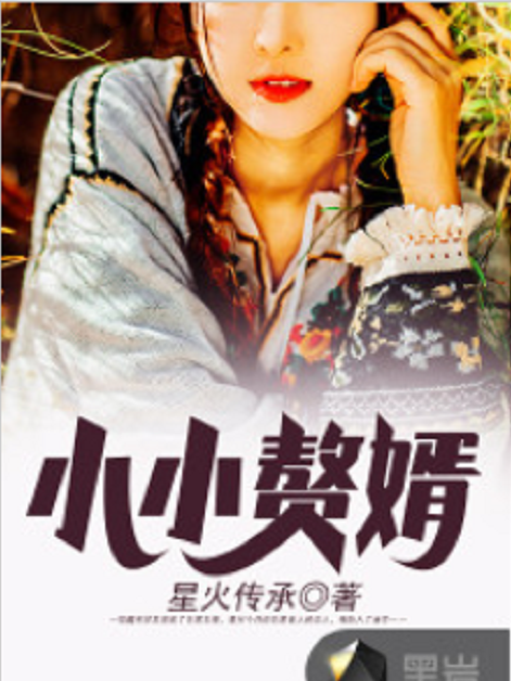 小小贅婿 小小贅婿