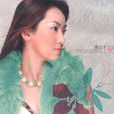 錯愛(陳淑萍音樂專輯) 錯愛(陳淑萍音樂專輯)
