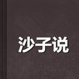 沙子說 沙子說