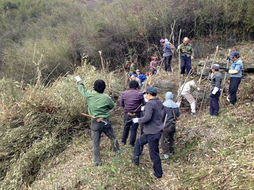 西村石林 西村石林