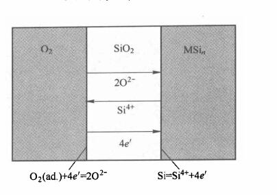 MoSi2氧化過程中相界反應和粒子傳輸示意圖