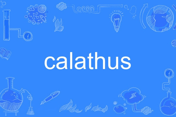 calathus calathus