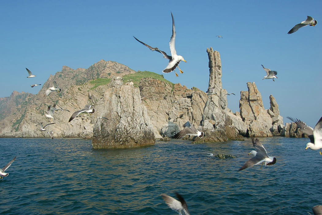 海貓島(旅順鳥島) 海貓島(旅順鳥島)