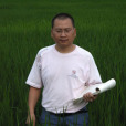 馬炳田 馬炳田