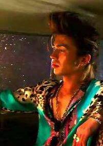 被嫌棄的松子的一生(日本2006年中島哲也導演電影)