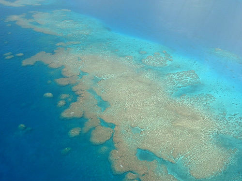 太平洋珊瑚礁(地質地貌)