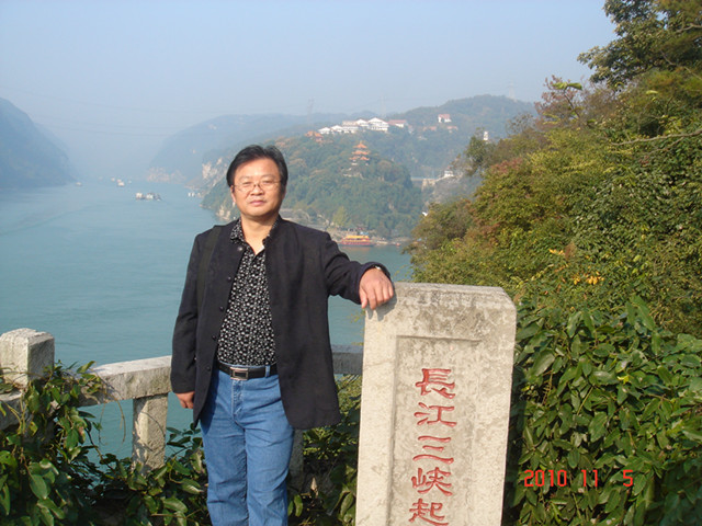 王林(上海市語文特級教師)