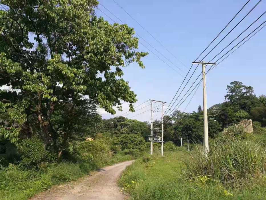 牛姆坪(廣東省河源市龍川縣細坳鎮自然村) 牛姆坪(廣東省河源市龍川縣細坳鎮自然村)