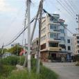 馬道頭村(浙江樂清市七里港鎮下轄村) 馬道頭村(浙江樂清市七里港鎮下轄村)
