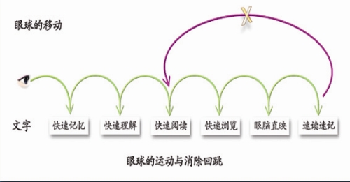 快速閱讀的眼球運動及避免回讀