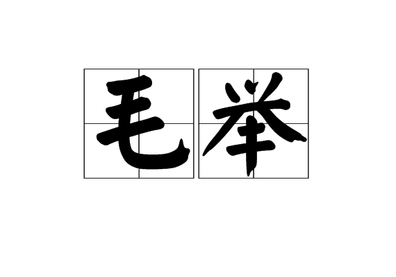 毛舉 毛舉