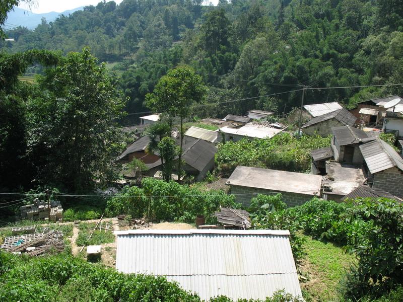 保山寨村(雲南省紅河州金平縣金河鎮保山寨村)