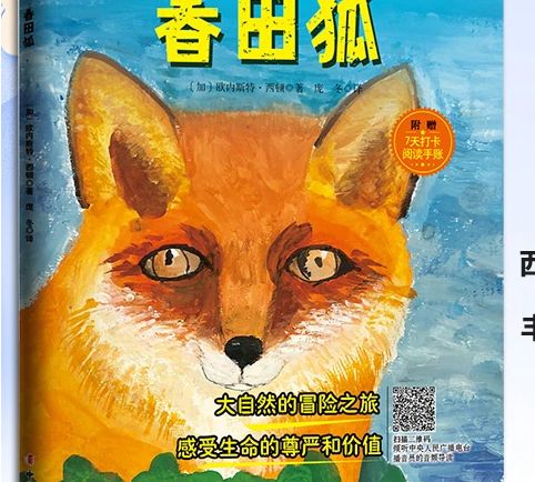 春田狐(2019年中國婦女出版社出版的圖書) 春田狐(2019年中國婦女出版社出版的圖書)