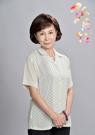 孤戀花(2013年台灣電視劇)