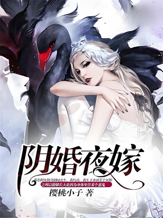 陰婚夜嫁 陰婚夜嫁