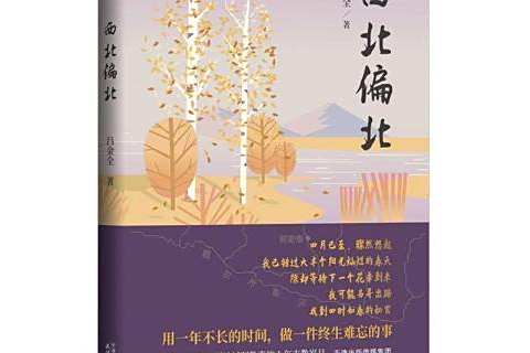 西北偏北(2022年天津人民出版社出版的圖書)