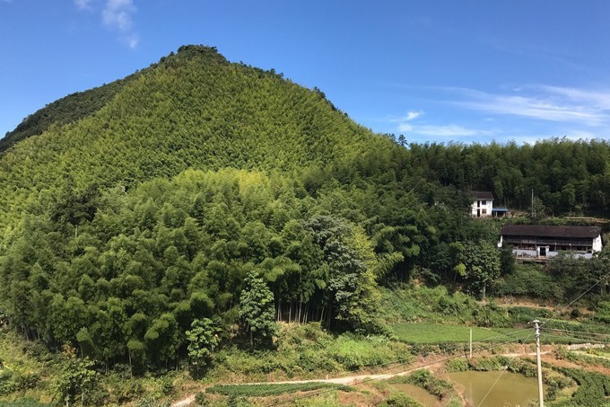 埔上林場