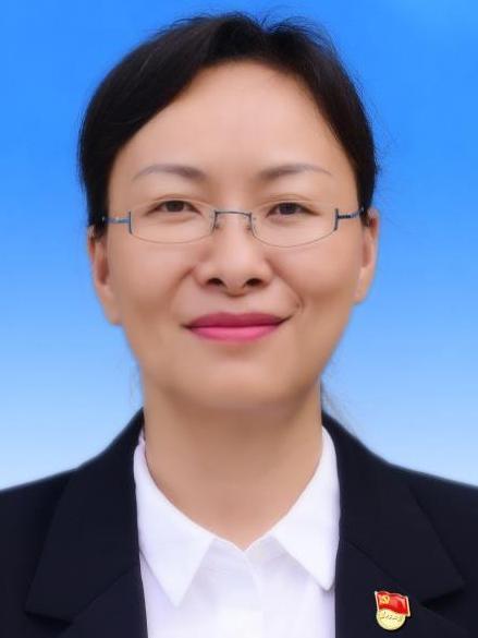 尹雪萍(雲南省德宏傣族景頗族自治州隴川縣審計局副局長) 尹雪萍(雲南省德宏傣族景頗族自治州隴川縣審計局副局長)