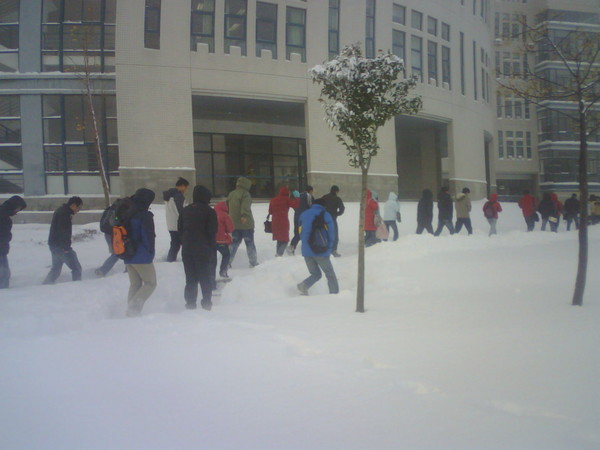 煙臺的大雪（攝於2008年12月4日）
